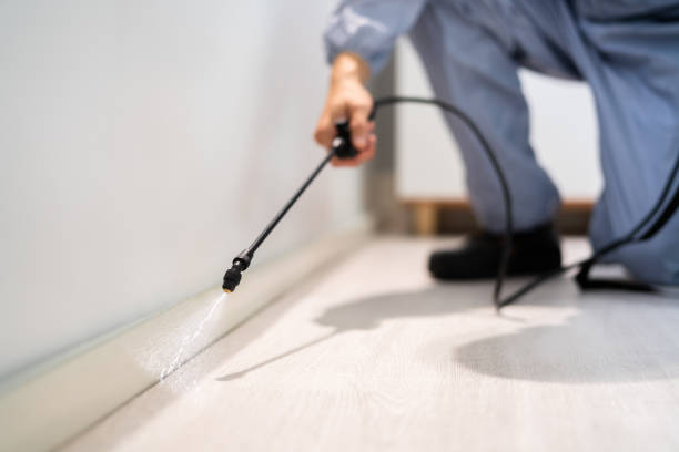 Licensed Termite Control service in Columbus, MS - Nex Pest Control