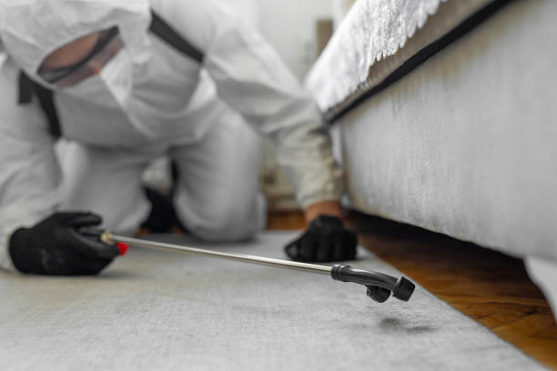 Professional Termite Control technician working in Columbus, MS