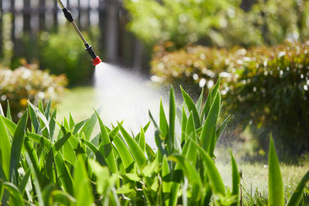 24/7 Emergency Termite Control experts in Columbus, MS