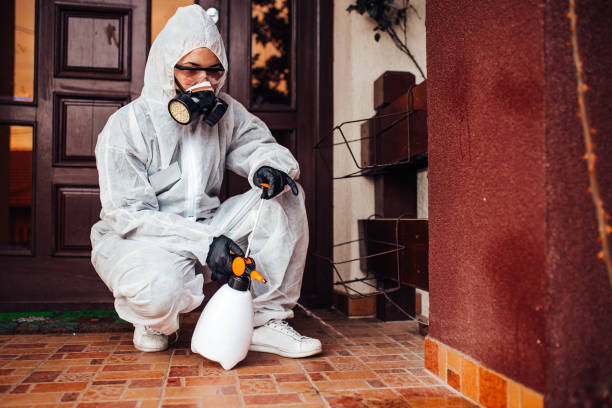 Reliable Termite Control contractor in Columbus, MS by Nex Pest Control