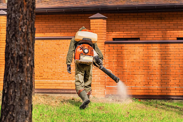Top rated local Termite Control specialists in Columbus, MS